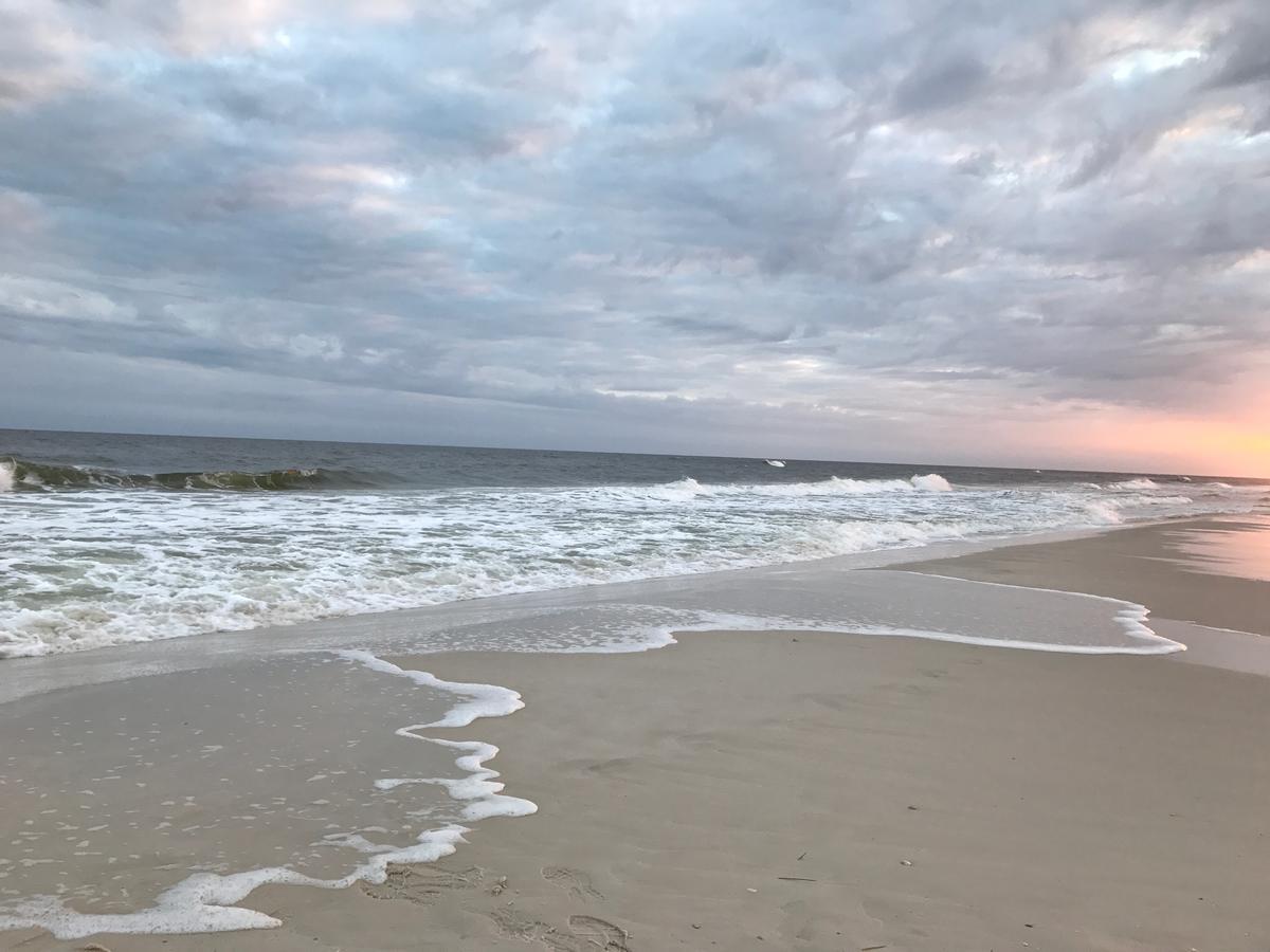 Shoalwater 704 Daire Orange Beach Dış mekan fotoğraf